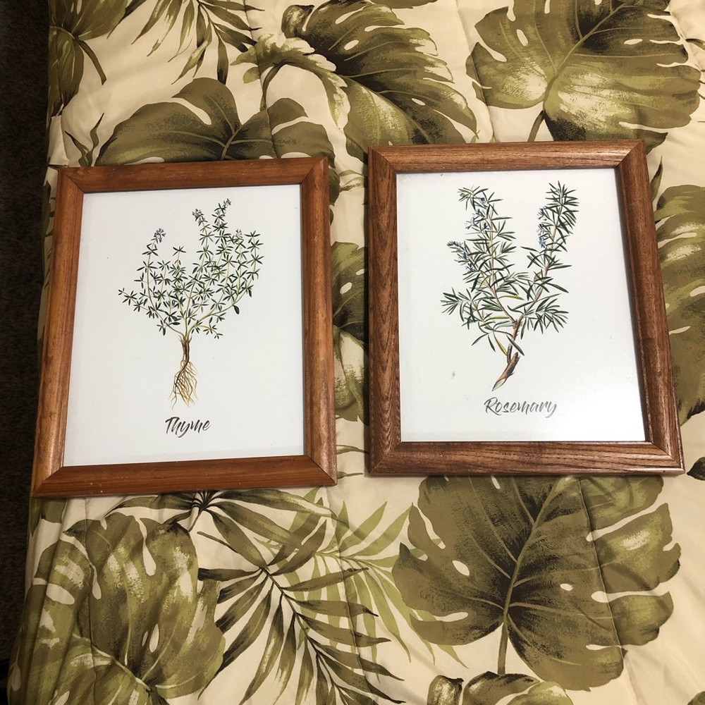 Framed rosemary and thyme prints